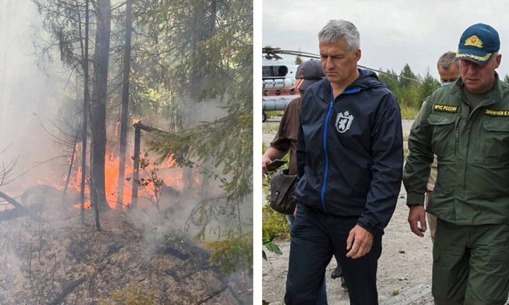 Рослесхоз выделил Карелии 50 миллионов рублей из-за лесных пожаров