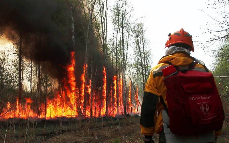 В 10 регионах России введен режим ЧС из-за лесных пожаров