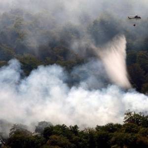 МИД: Украина готова помочь Греции и Албании в борьбе с пожарами