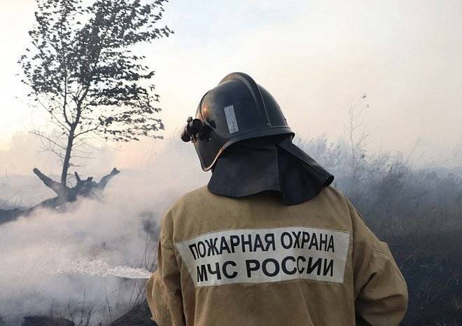 Пожар на свалке в Клепиковском районе снова потушили