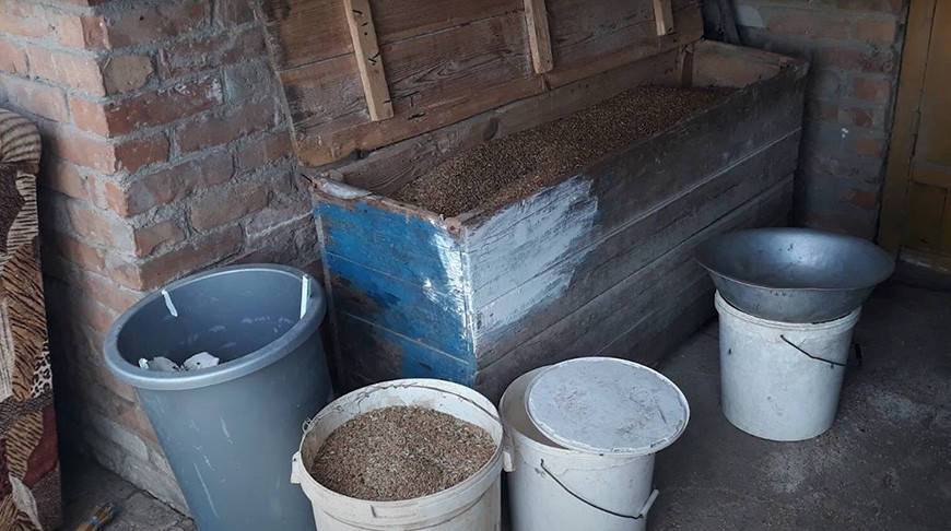 Механизатор сельхозпредприятия в Сенненском районе украл 80 л солярки и более 1 т зерна