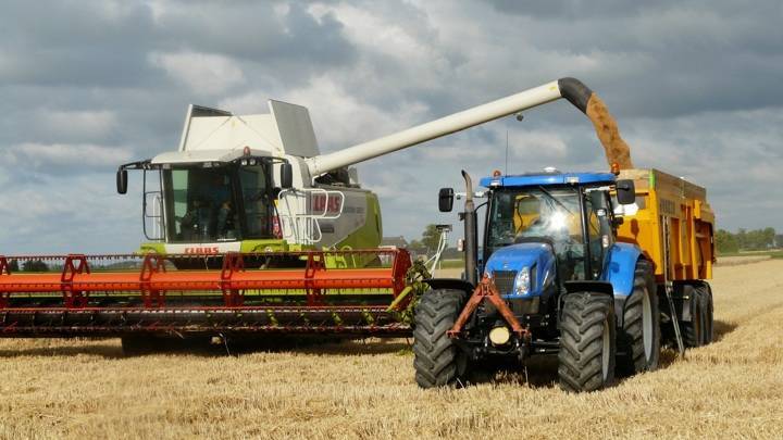 Урожай зерна в Рязанской области превысил 1 млн тонн
