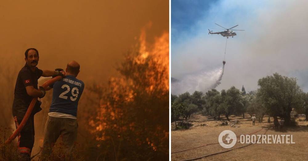 Лесные пожары в Турции – фото до и после, видео и последние новости о борьбе с огнем