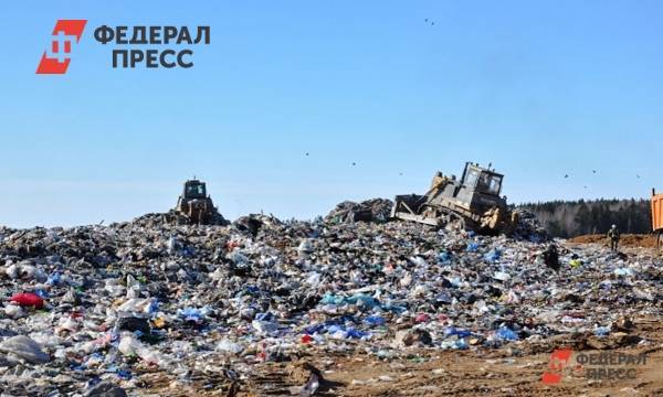 Конкурс на выбор мусорного оператора в Петербурге остановили из-за жалобы