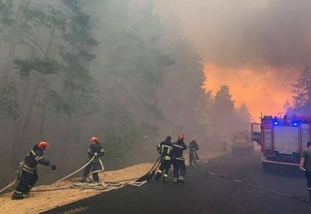 В Тернопольской области мужчина возместит государству 175 тысяч гривен за поджог леса