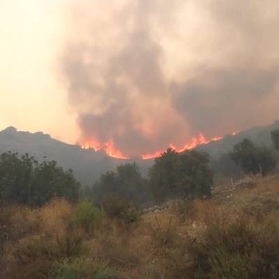 Лесной пожар перекинулся на ТЭЦ в турецкой провинции Мугла
