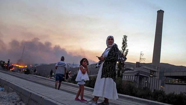 Турецкая электростанция находится под угрозой уничтожения из-за лесных пожаров