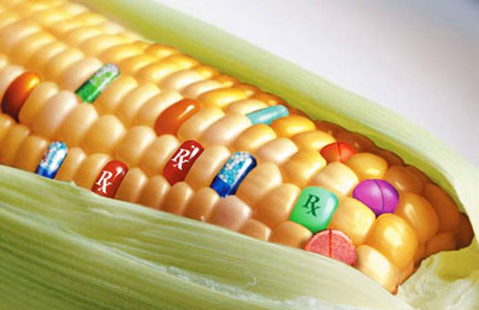 Кабмин предлагает увеличить штрафы за ГМО