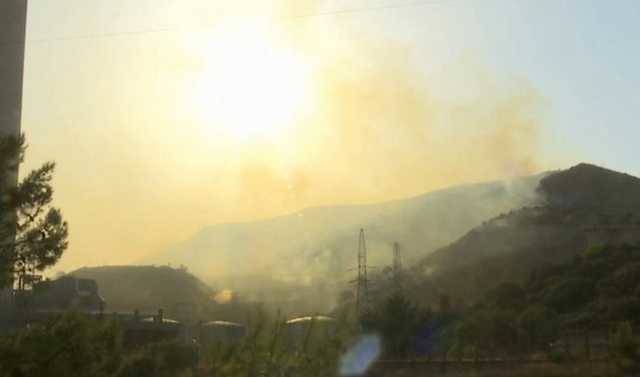 В Турции огонь из лесных пожаров добрался жилых домов и ТЭЦ