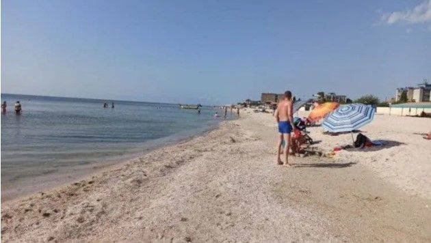Популярный украинский курорт снова атаковали медузы (ФОТО)