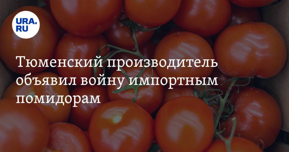 Тюменский производитель объявил войну импортным помидорам