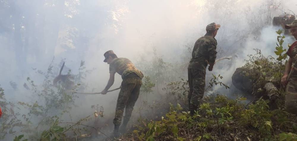 Лесной пожар в Ярдымлинском районе потушен