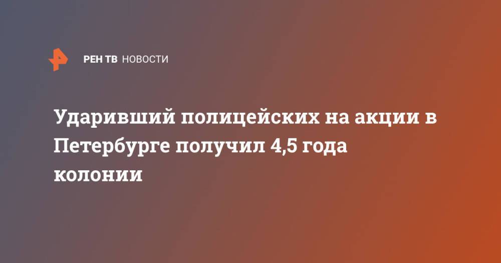 Ударивший полицейских на акции в Петербурге получил 4,5 года колонии