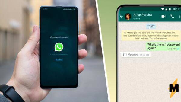 WhatsApp запустил функцию «Исчезающие сообщения», которые удаляются после прочтения