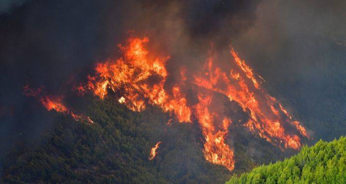 Пожары пожирают Грецию: острова в огне, в Афинах эвакуируют пригород - фотолента
