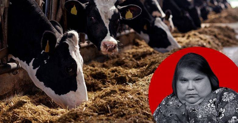 Выбросы коров или Введут ли налог на мясо: Александра Баязитова — о том, почему российским буренкам ничто не угрожает