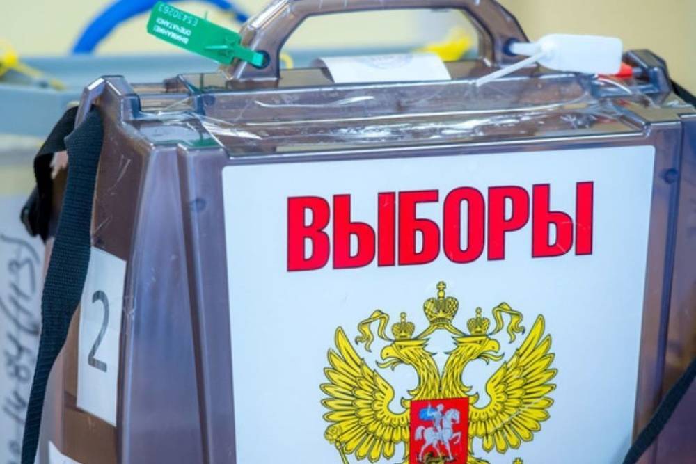 Памфилова назвала оптимальным трехдневное голосование на выборах во время пандемии