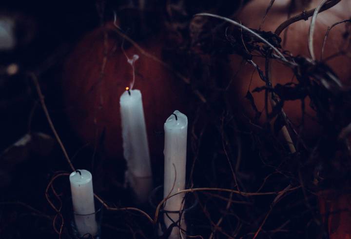 Столичные оккультисты признались в совершении кровавых ритуалов в Ленобласти