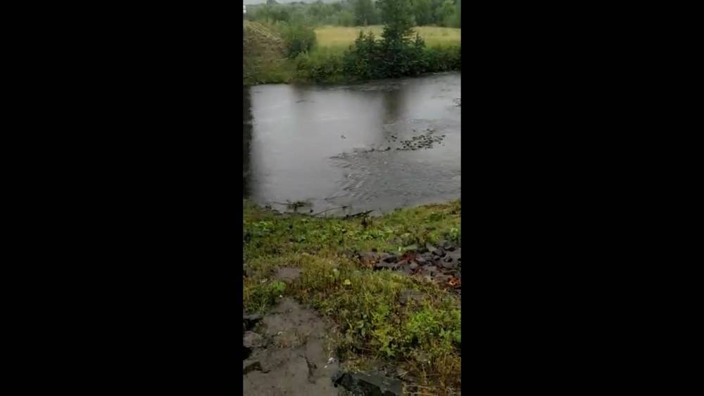 Сахалинец не поверил отчету ВГК и снял загрязненную реку Желтую