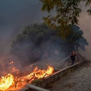 Лесные пожары в Афинах вышли из-под контроля