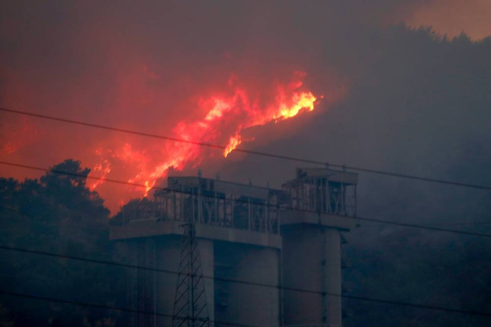Власти Польши помогут Турции в тушении лесных пожаров