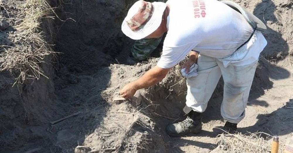 Останки еще девяти человек нашли в захоронении времен ВОВ на Кубани