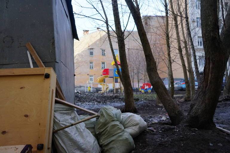 В июле петербуржцев беспокоили насекомые, грязные подъезды и мусор