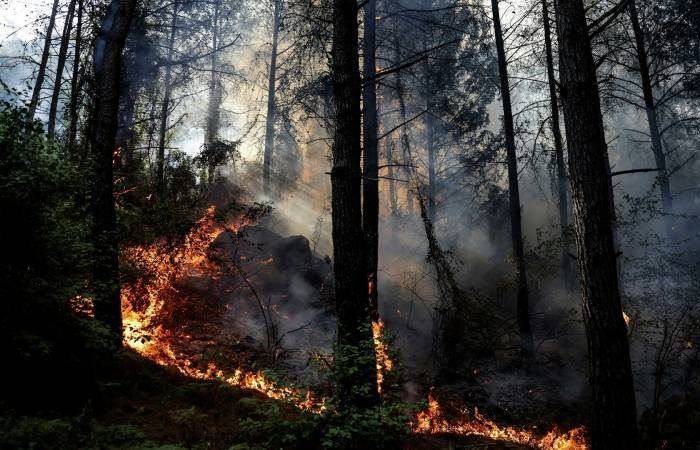 Лесные пожары в турецкой Анталье локализованы