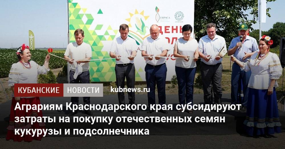 Аграриям Краснодарского края субсидируют затраты на покупку отечественных семян кукурузы и подсолнечника