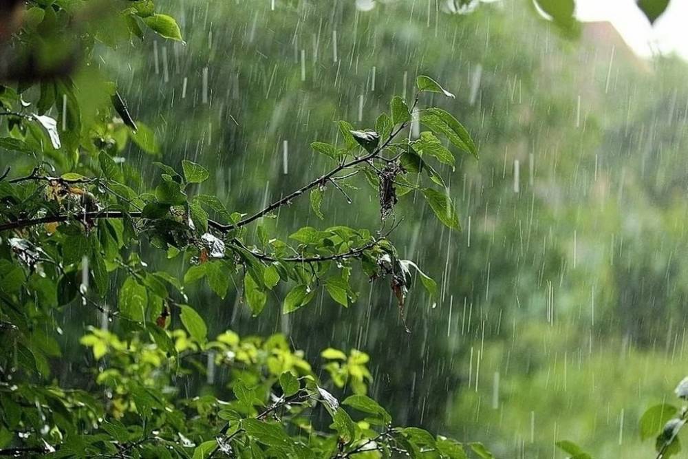 В Курской области 7 августа прольются дожди с грозами и градом при температуре +33 градуса