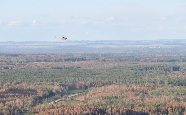Глава МЧС России предложил вернуть на федеральный уровень вопрос защиты лесов