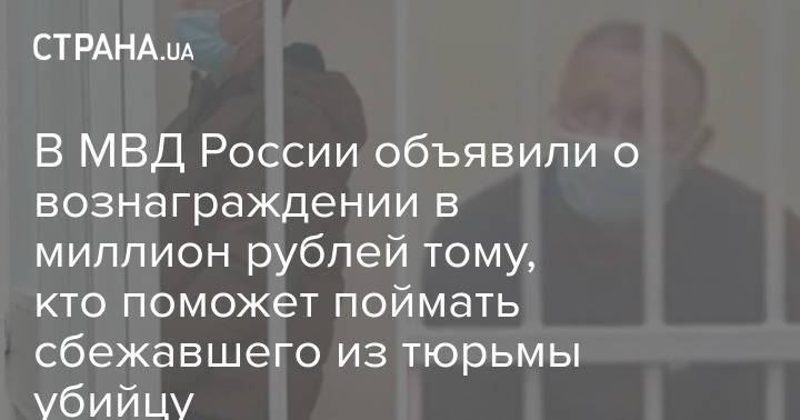 В МВД России объявили о вознаграждении в миллион рублей тому, кто поможет поймать сбежавшего из тюрьмы убийцу
