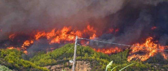 Украина отправила в Грецию отряд спасателей для помощи в борьбе с лесными пожарами