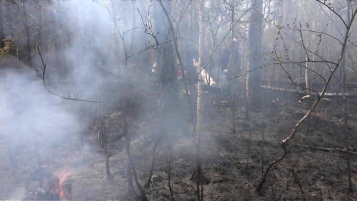 Новости на "России 24". Лесные пожары в Якутии: МЧС усиливает группировку для борьбы с огнем