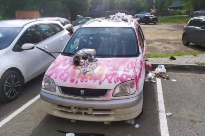 Уголовное дело завели на женщину за покраску автомобиля соседа в розовый цвет в Томске