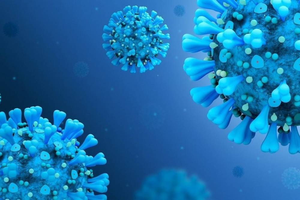 В Карелии по данным на 7 августа 168 инфицированных коронавирусом