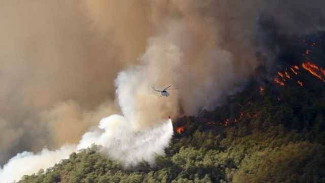 Пожарные взяли под контроль 202 из 214 лесных пожаров в Турции, - Эрдоган