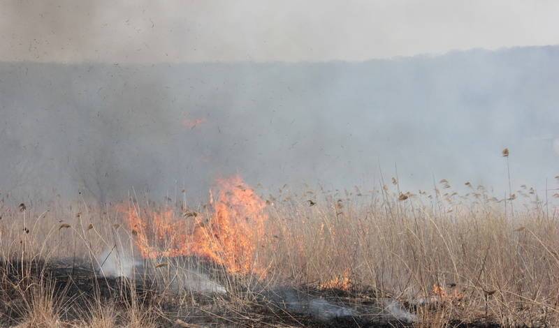 МЧС Башкирии сообщает о 19 очагах лесных пожаров, 10 из которых локализованы