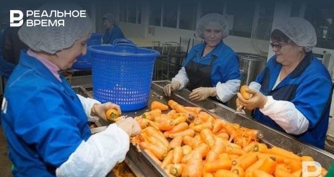 Эксперт: к прежним ценам на овощи в Татарстане мы не вернемся
