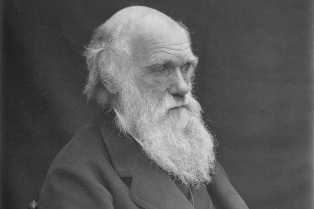 Дарвин ошибался: аппендикс увеличил продолжительность жизни млекопитающих