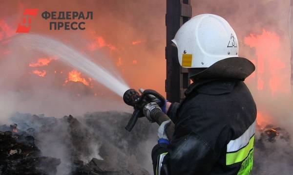 Жители Красноярска задыхаются от запаха гари: «Нечем дышать»