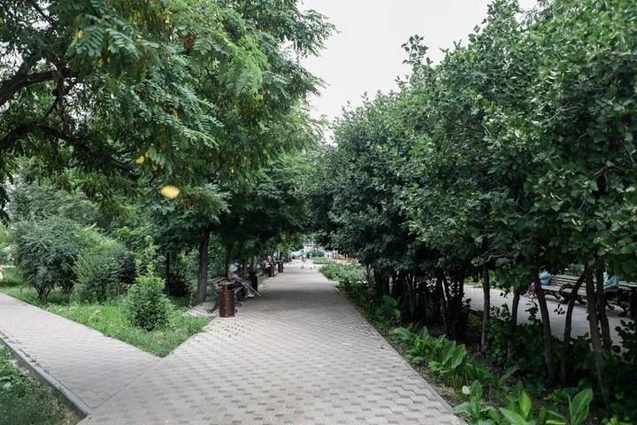 В селах и городах Волгоградской области благоустраивают парки и дворы
