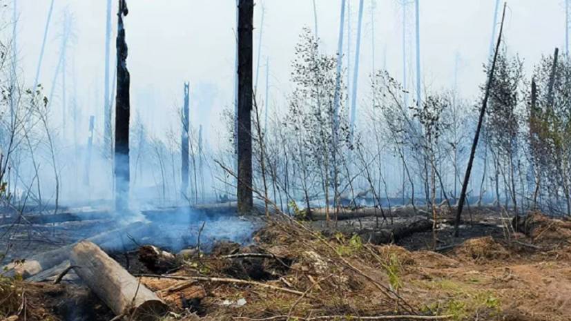В МЧС рассказали о ситуации с пожаром в заповеднике имени Смидовича в Мордовии