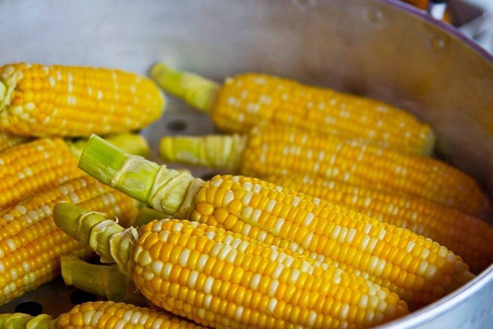 Простые советы: как варить кукурузу, чтобы она получалась нежной