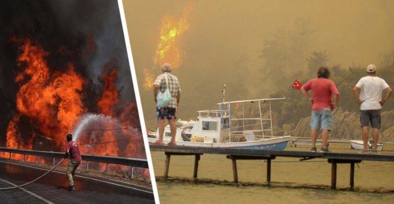 В Турции назвали возможных заказчиков пожаров на курортах