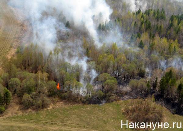 В Якутии лесные пожары "прошли" за сутки 40-130 километров