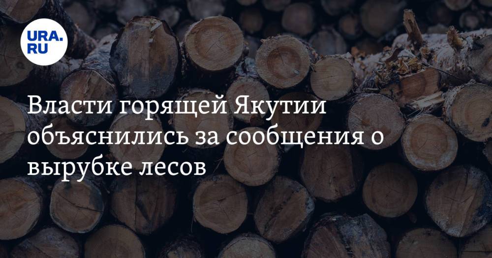 Власти горящей Якутии объяснились за сообщения о вырубке лесов