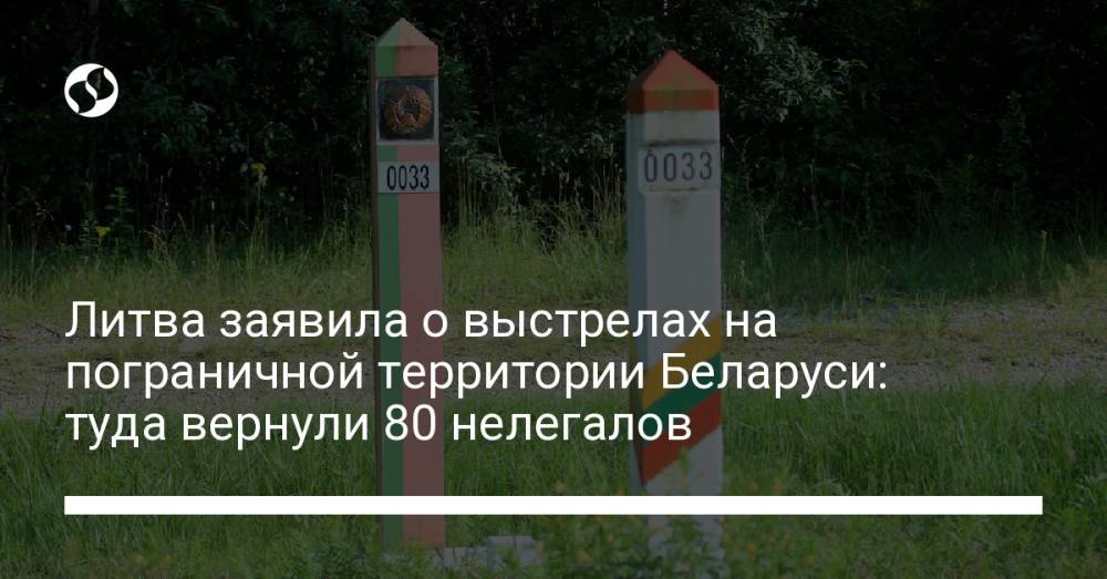 Литва заявила о выстрелах на пограничной территории Беларуси: туда вернули 80 нелегалов