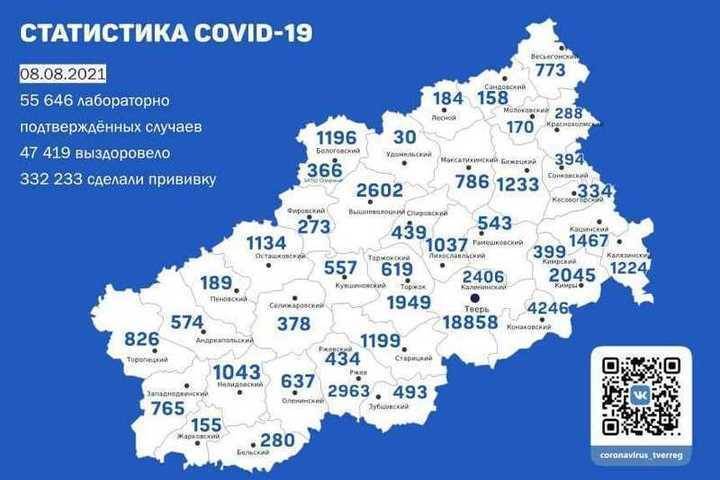 В 28 районах Тверской области выявили новые случаи коронавируса