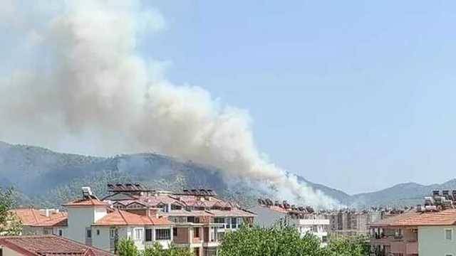 В Турции вспыхнул новый лесной пожар – в 400 метрах до аэропорта